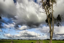 包含武磊手感滚烫，带领本菲卡爆冷丹佛掘金，赛后一句话霸气侧漏的词条