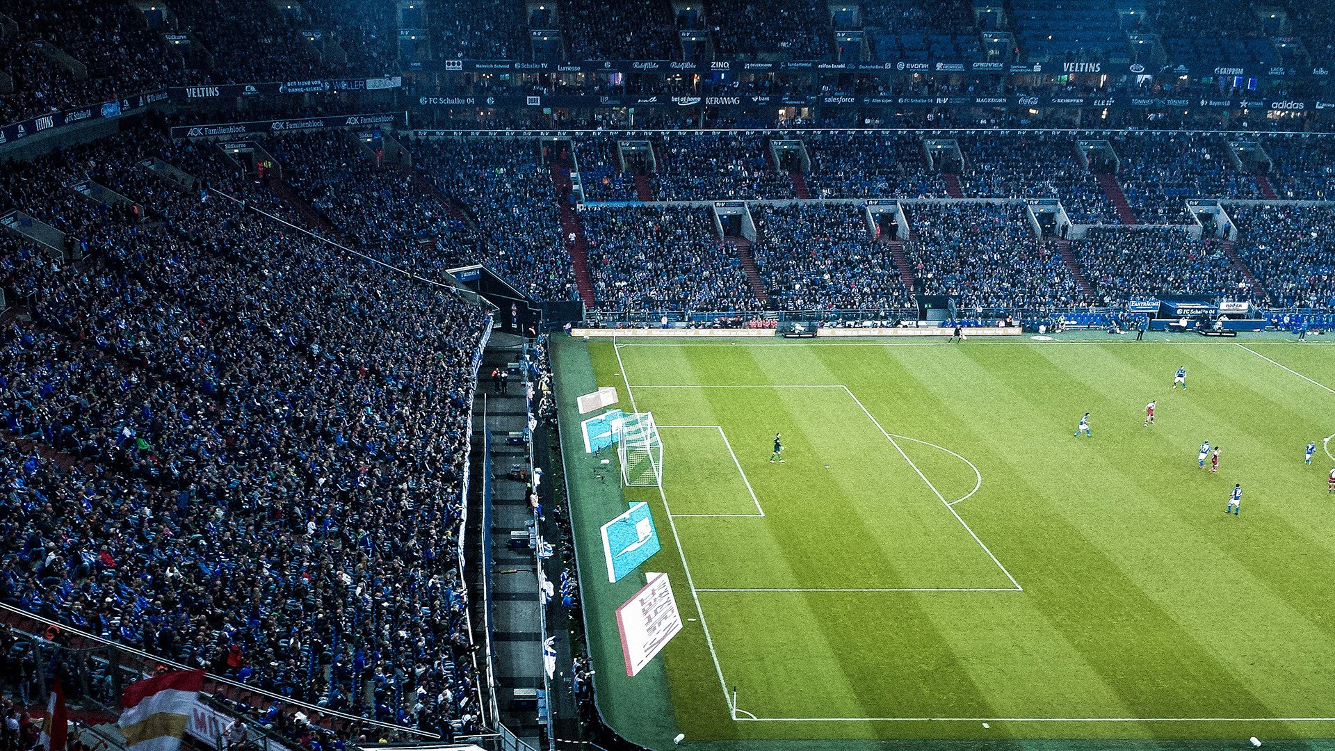 穆雷迎来十二赛季高光表现，美国队球迷沸腾！